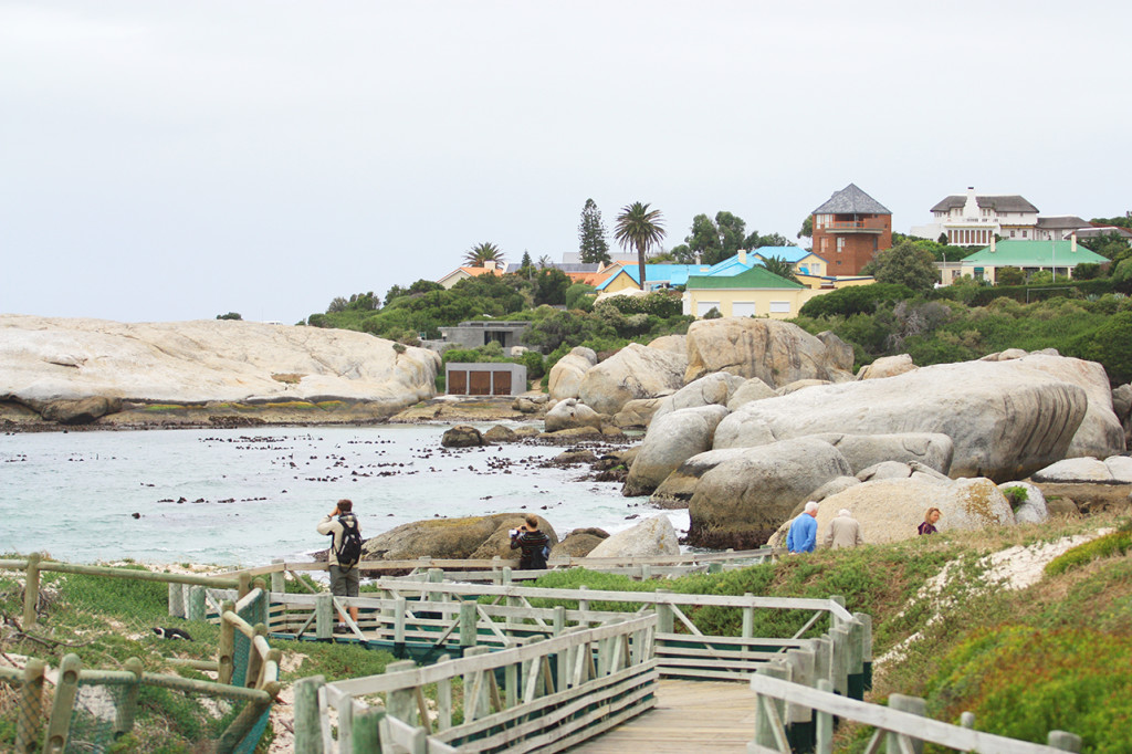 15-4-2010(南非之旅) 554