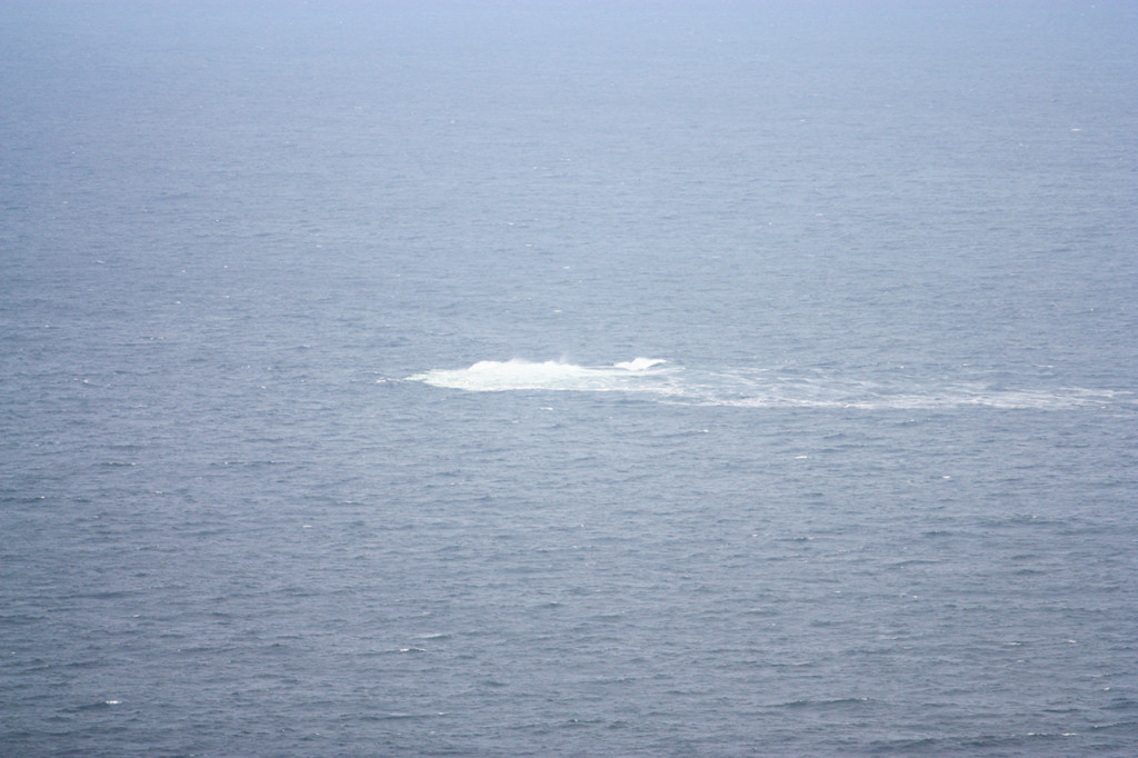 15-4-2010(南非之旅) 814