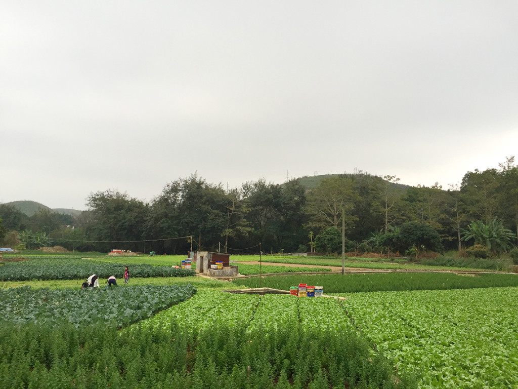 Photo 10-01-2016, 16 38 39